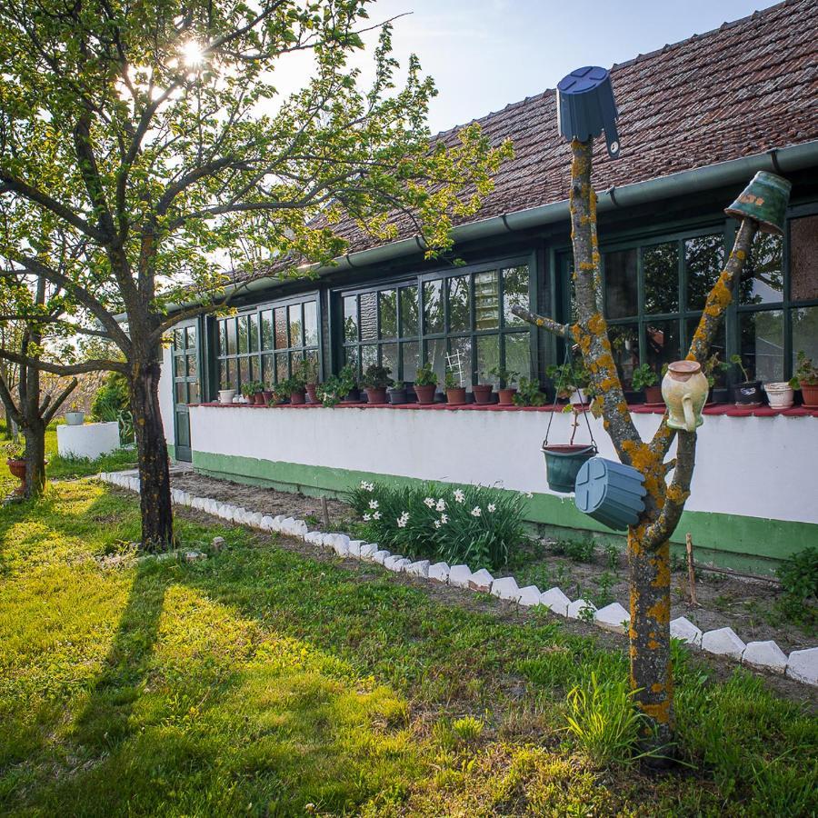 Etno Salas - Etno Ranch - Seosko Turisticko Domacinstvo Villa ปาลิช ภายนอก รูปภาพ
