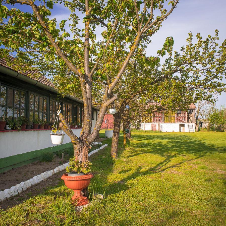 Etno Salas - Etno Ranch - Seosko Turisticko Domacinstvo Villa ปาลิช ภายนอก รูปภาพ